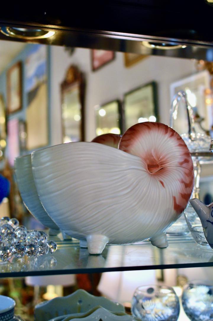 Shop Porcelain shell dish | Hunt & Gather