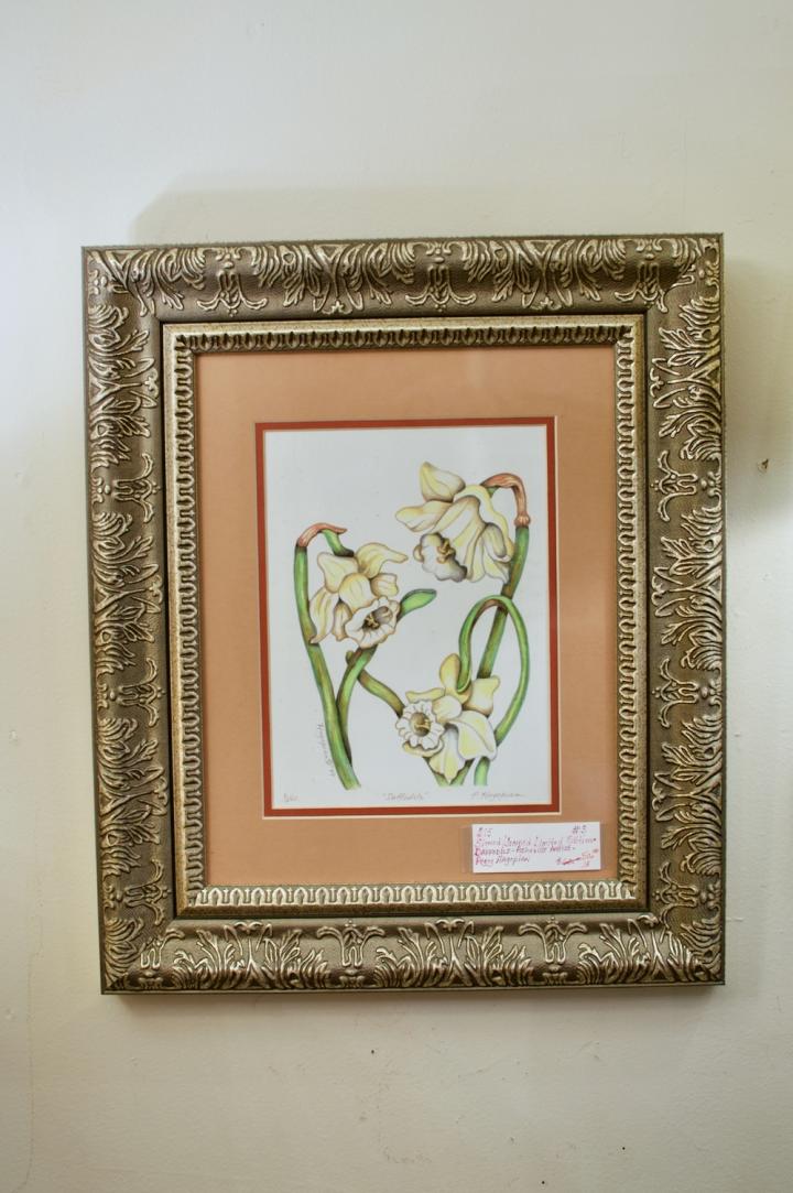 Shop Signed / framed limited edition daffodils | Hunt & Gather