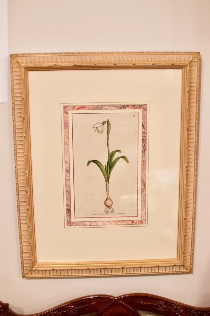 Set of 6 botanical prints