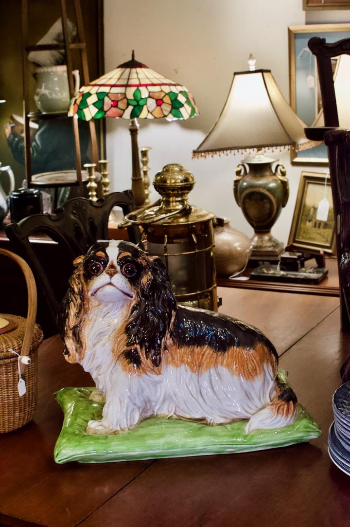 Shop Saint Charles spaniel dog | Hunt & Gather