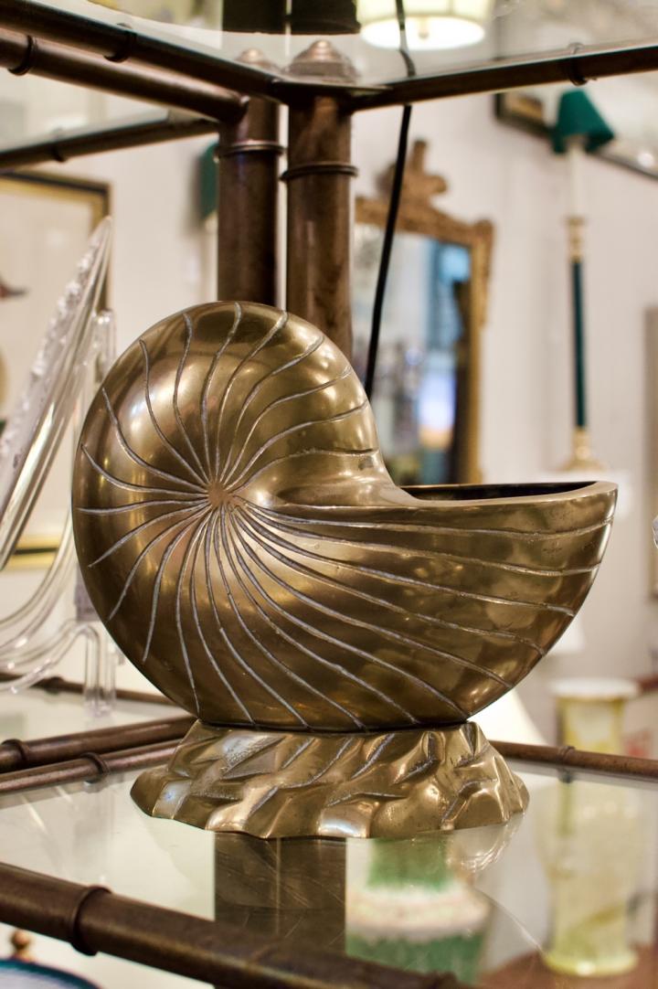 Shop Brass shell pitcher | Hunt & Gather