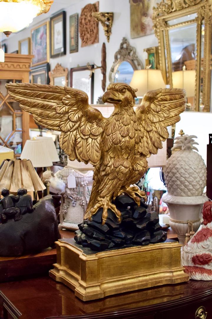 Shop Magnificent eagle | Hunt & Gather