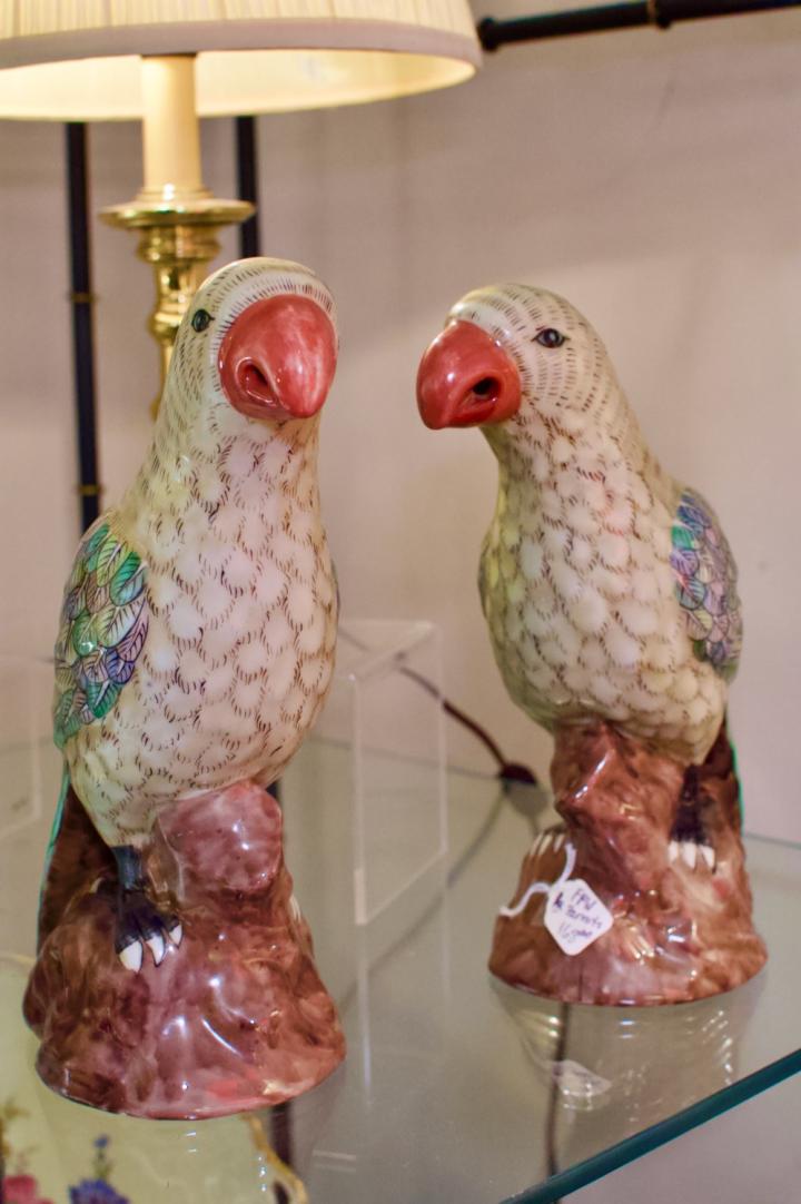 Shop Pair of parrots | Hunt & Gather