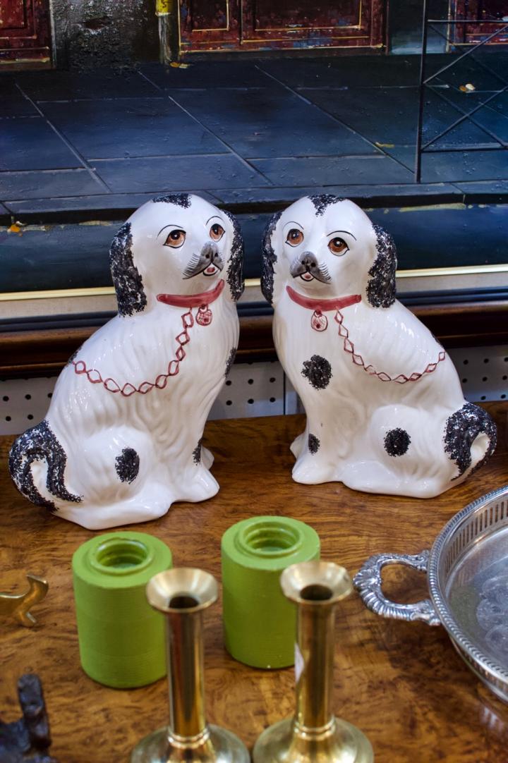 Shop Pair of spaniels | Hunt & Gather