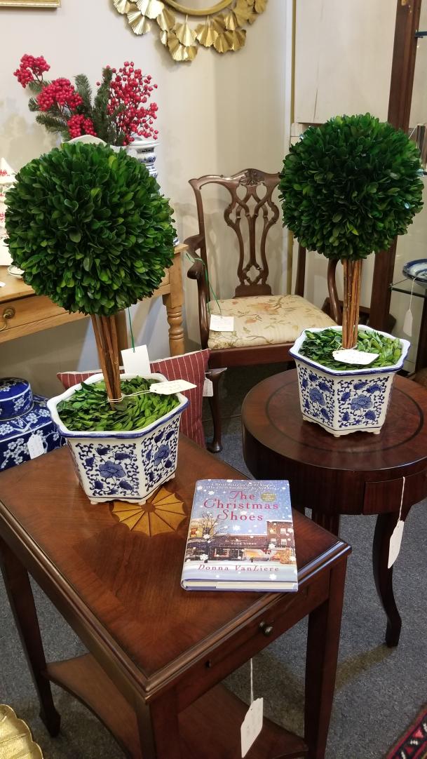 Shop Boxwood topiary in blue and white china pot. | Hunt & Gather