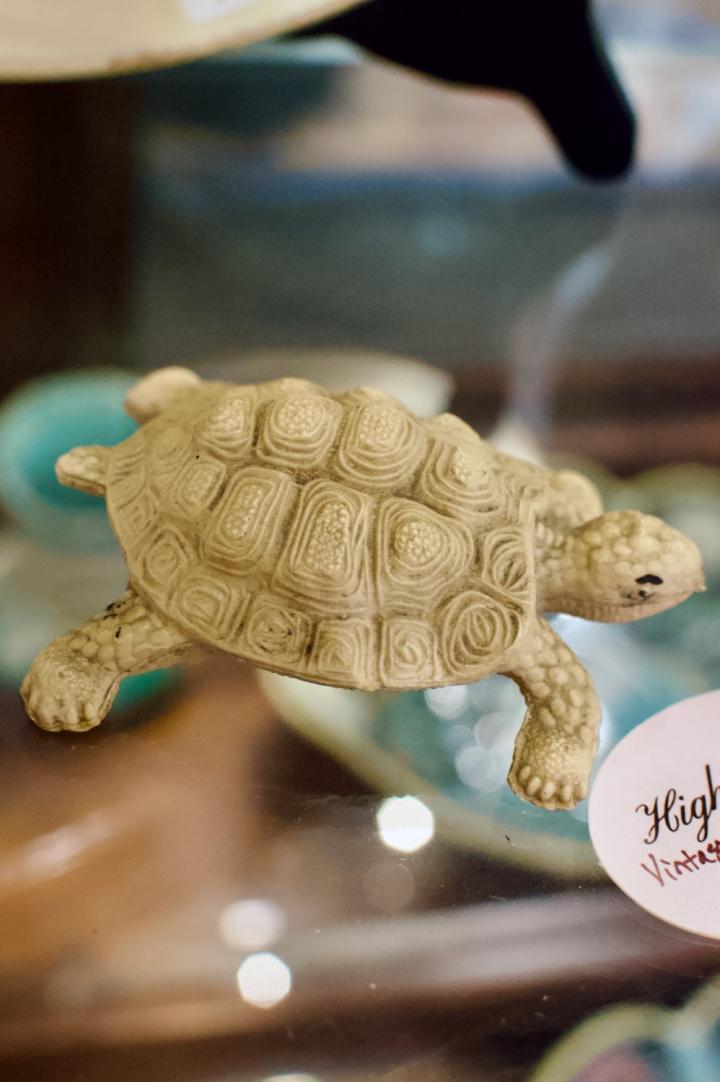 Shop Vintage celluloid turtle | Hunt & Gather