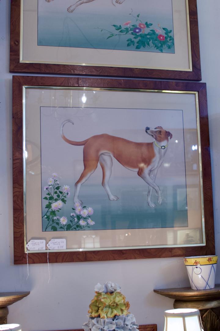 Shop Whippet on silk painting | Hunt & Gather