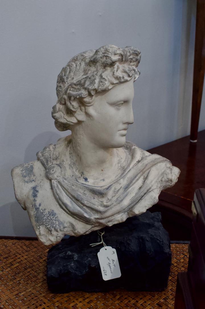 Shop Bust of Apollo | Hunt & Gather