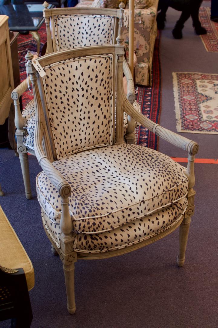 Shop Pair of animal print chairs | Hunt & Gather