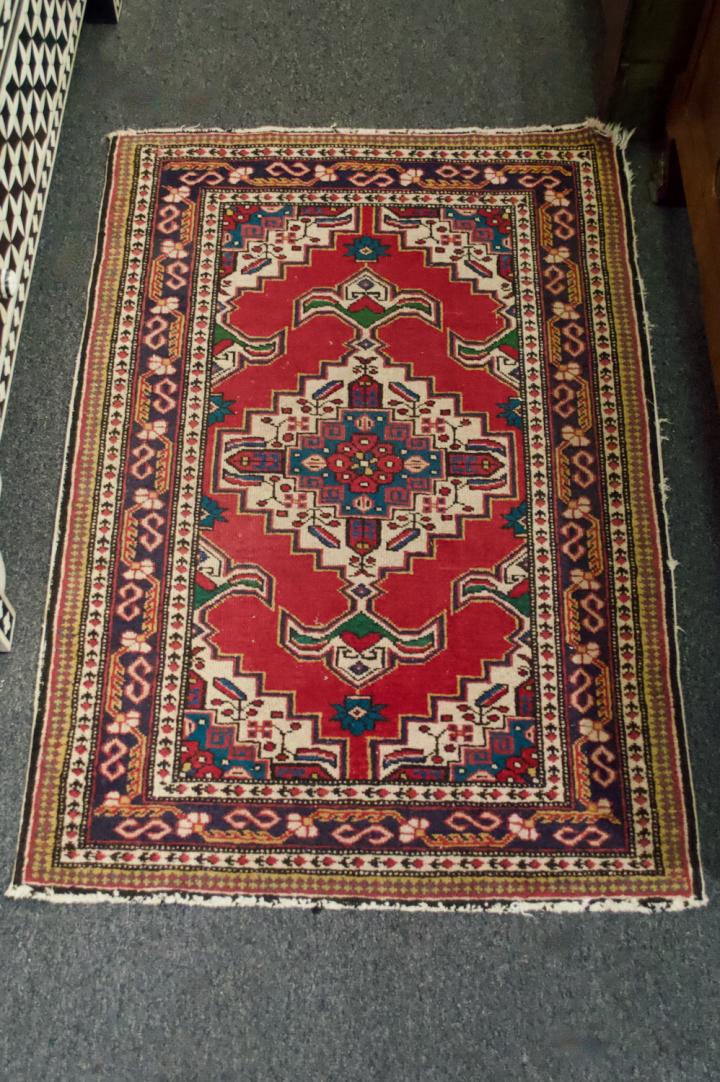 Shop Rug | Hunt & Gather