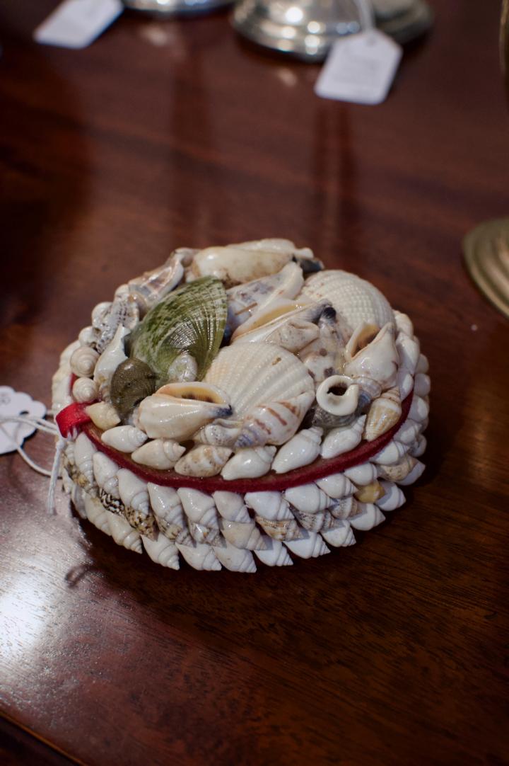Shop Shell box | Hunt & Gather