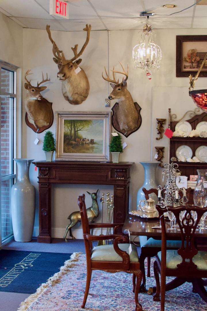 Shop  | Hunt & Gather