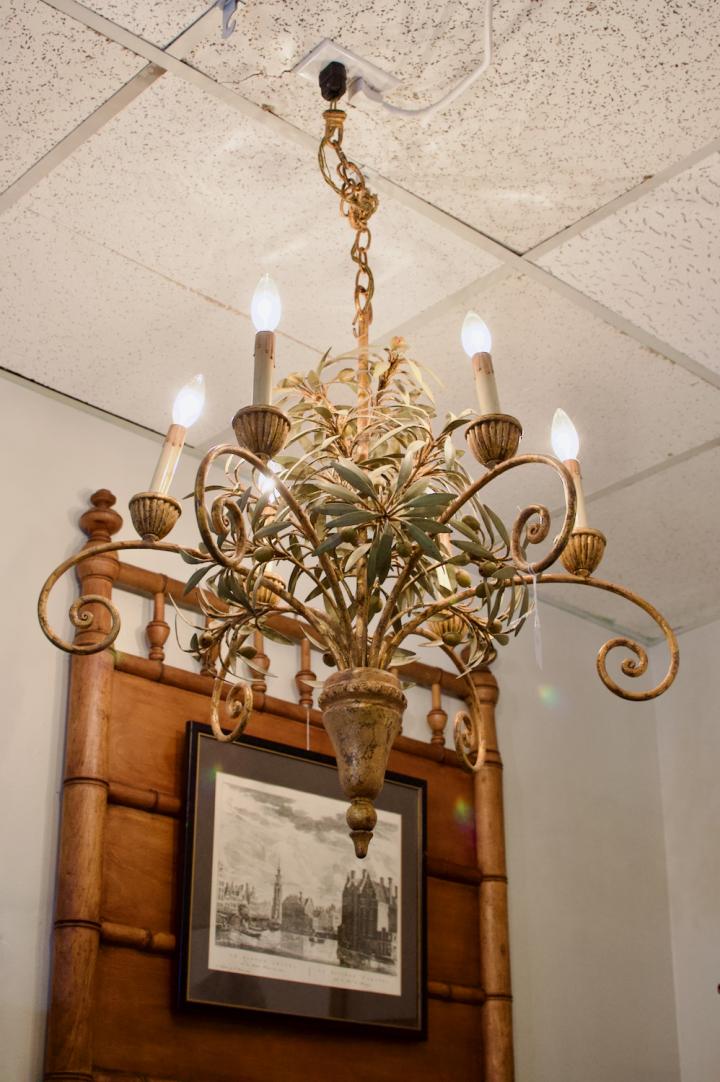 Shop Chandelier | Hunt & Gather