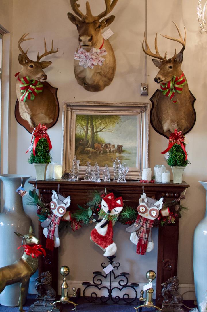 Shop  | Hunt & Gather