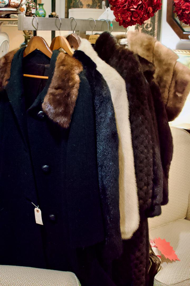 Shop  | Hunt & Gather