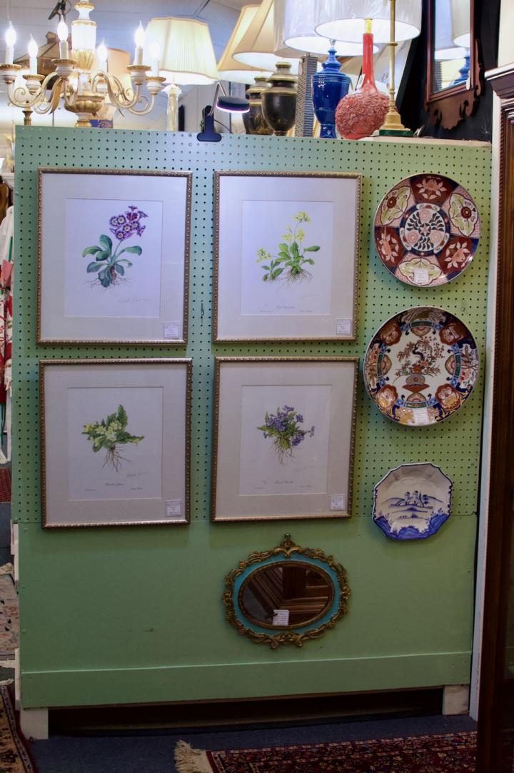 Shop  | Hunt & Gather