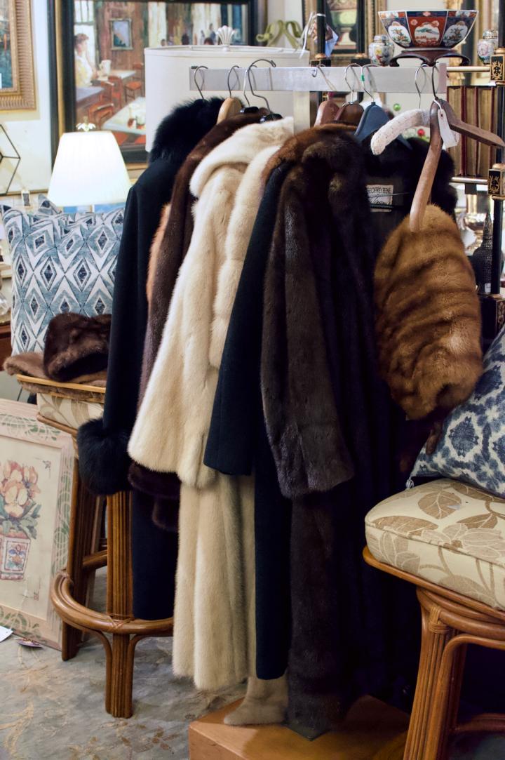 Shop  | Hunt & Gather