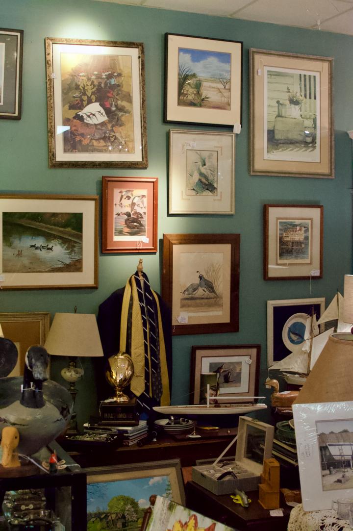 Shop  | Hunt & Gather