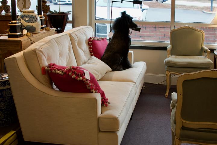 Shop  | Hunt & Gather