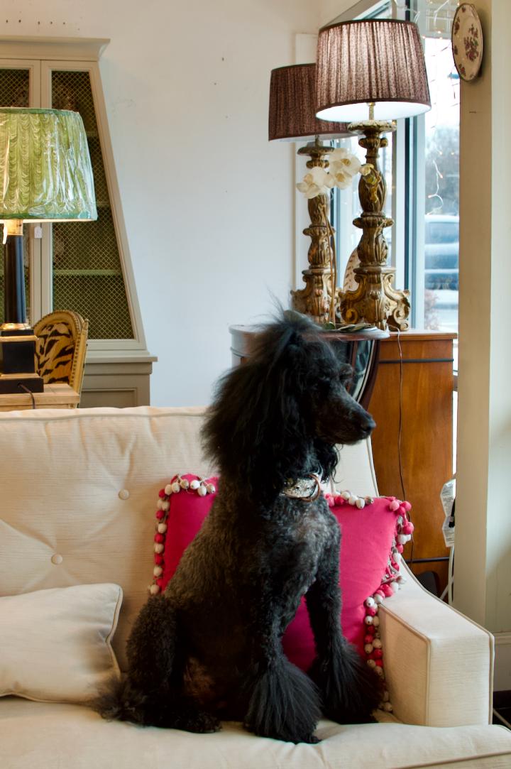 Shop  | Hunt & Gather