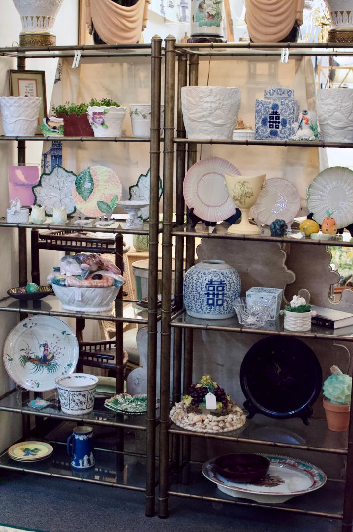 Shop  | Hunt & Gather