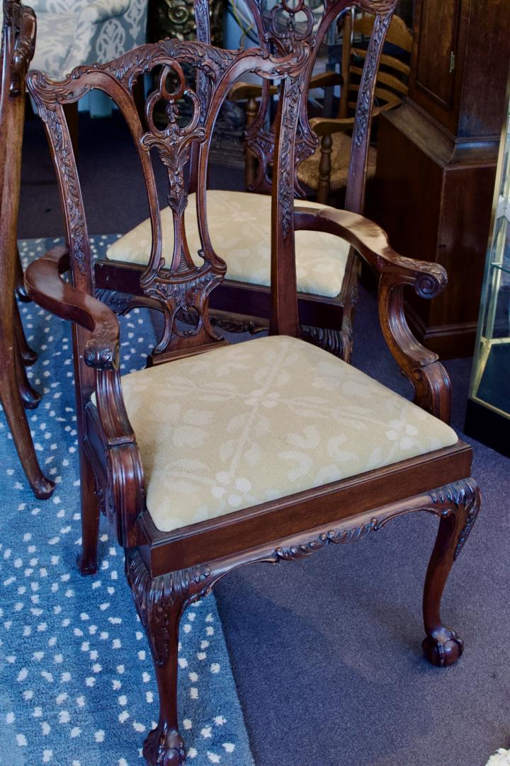 Shop 8 mahogany Chippendale ball / claw chairs | Hunt & Gather