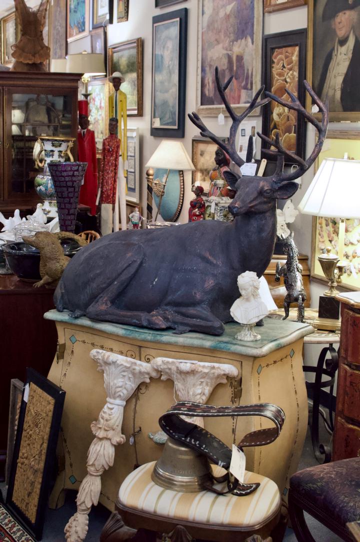 Shop  | Hunt & Gather