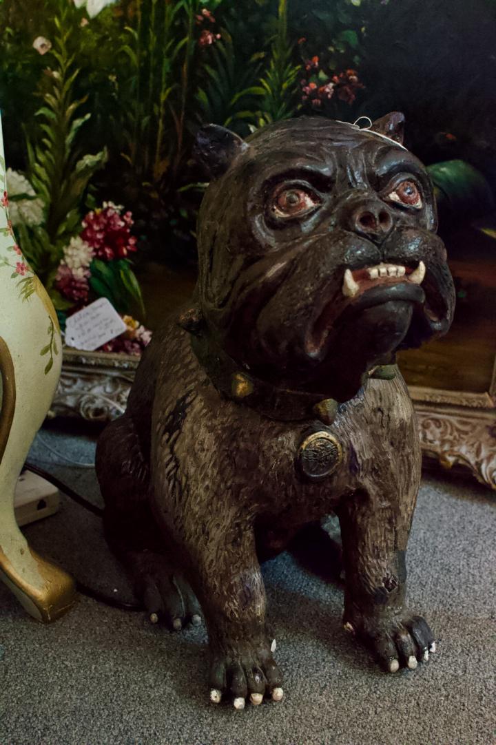 Shop Bulldog | Hunt & Gather