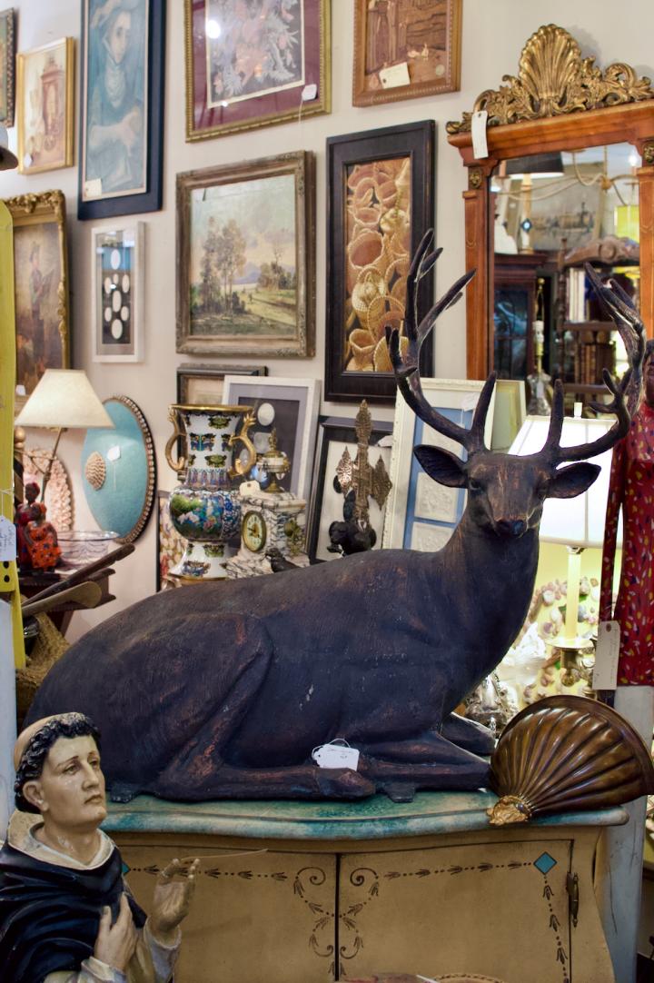 Shop Deer - inside or out | Hunt & Gather
