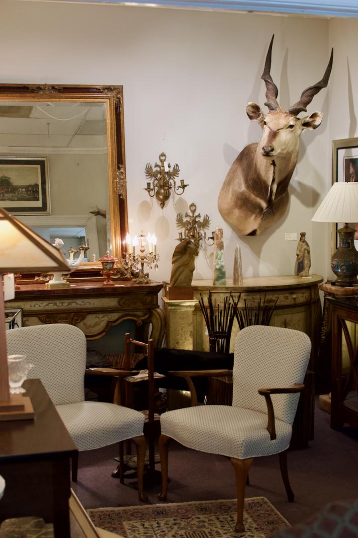 Shop  | Hunt & Gather
