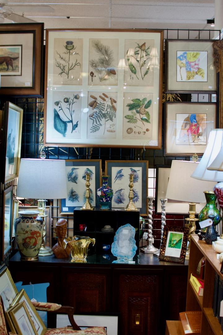 Shop  | Hunt & Gather