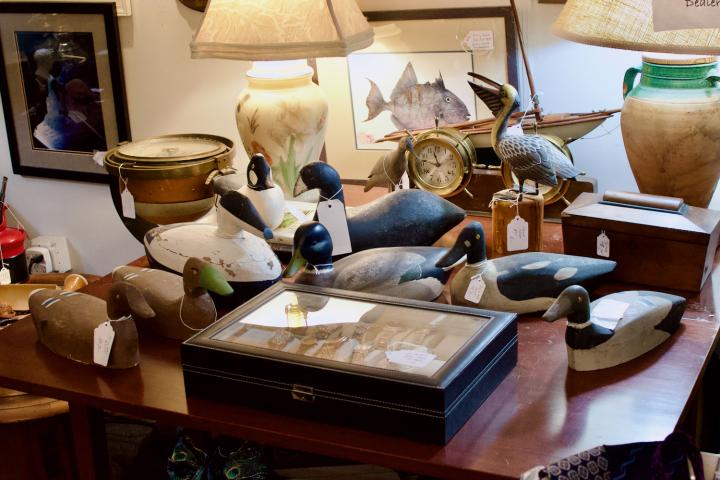 Shop  | Hunt & Gather