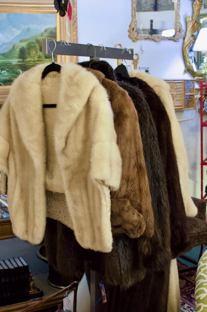 Shop  | Hunt & Gather