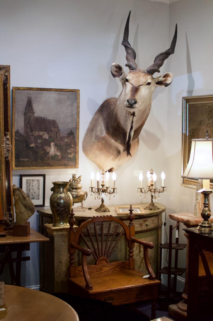 Shop  | Hunt & Gather
