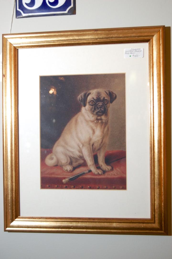 Shop Vintage framed pug dog print | Hunt & Gather