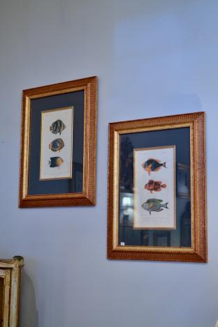 Pair of fish prints