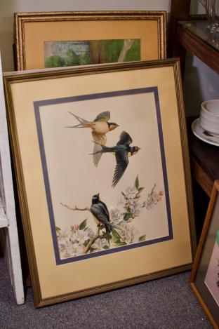 Beautifully framed bird print