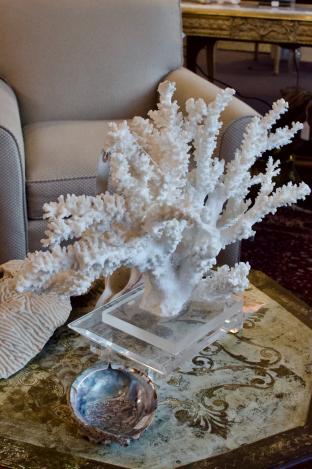 Natural coral on lucite base