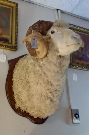 Vintage ram head mount