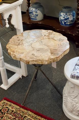 Petrified wood table