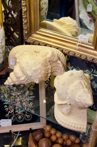 Conch shell bracket pair