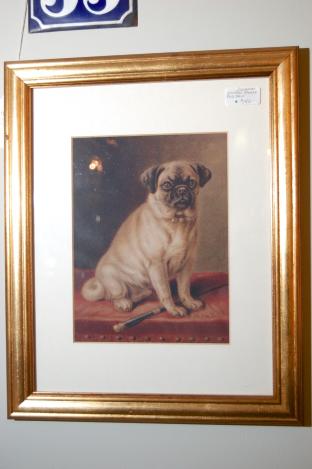 Vintage framed pug dog print