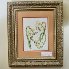 Signed / framed limited edition daffodils