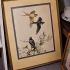 Beautifully framed bird print