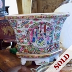 Rose medallion planter w/ underplate