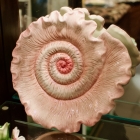 Shell plate