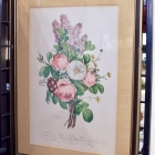 J.L. Prevost botanical print