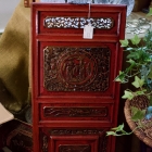 Asian panel