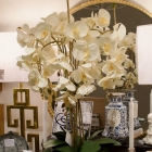 Orchid arrangement