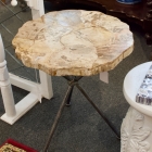 Petrified wood table